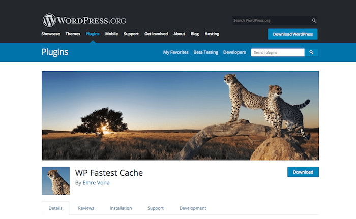 WordPress-Cache-Plugins-WP-Fastest-Cache