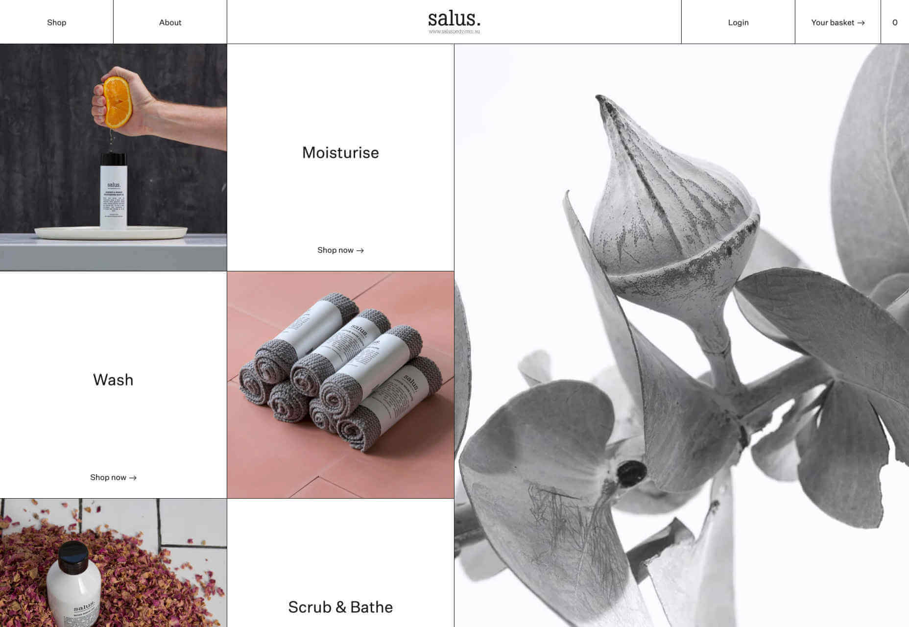 5G For Web Designers Salus